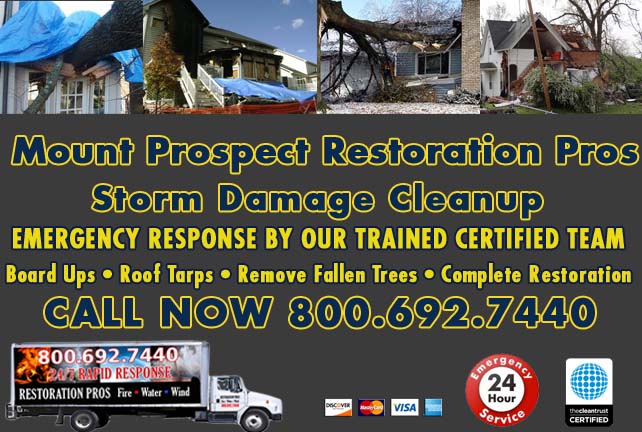 Mount Prospect Storm Damage Cleanup
