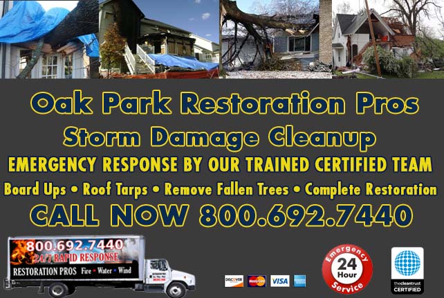 Oak Park Storm Damage Cleanup