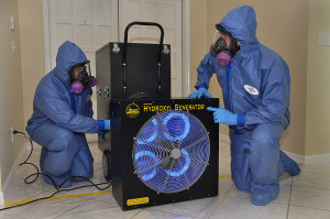 natural death cleanup service illinois